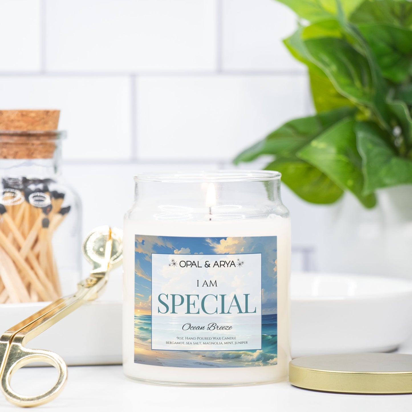 Ocean Breeze - Special - 9oz Apothecary Jar Candle