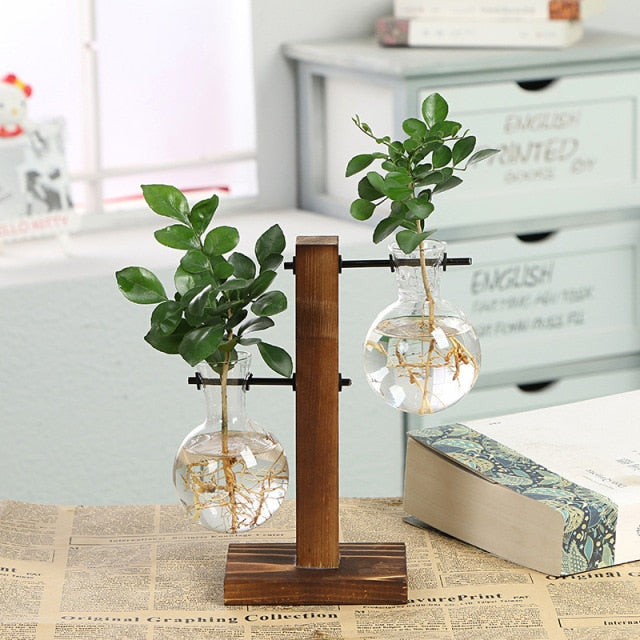 Hydroponic Plant Vases